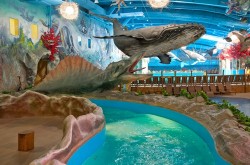 аквапарк в Киеве "Dream Island"