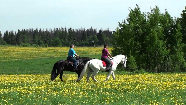 Покататься на лошадях в Киеве