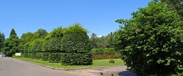 Ботанический сад Гришка