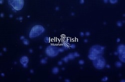 Музей медуз «Jelly Fish» в Киеве на Крещатике