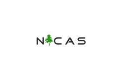 Компания «Nicas»