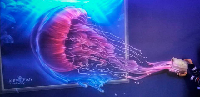 Музей медуз